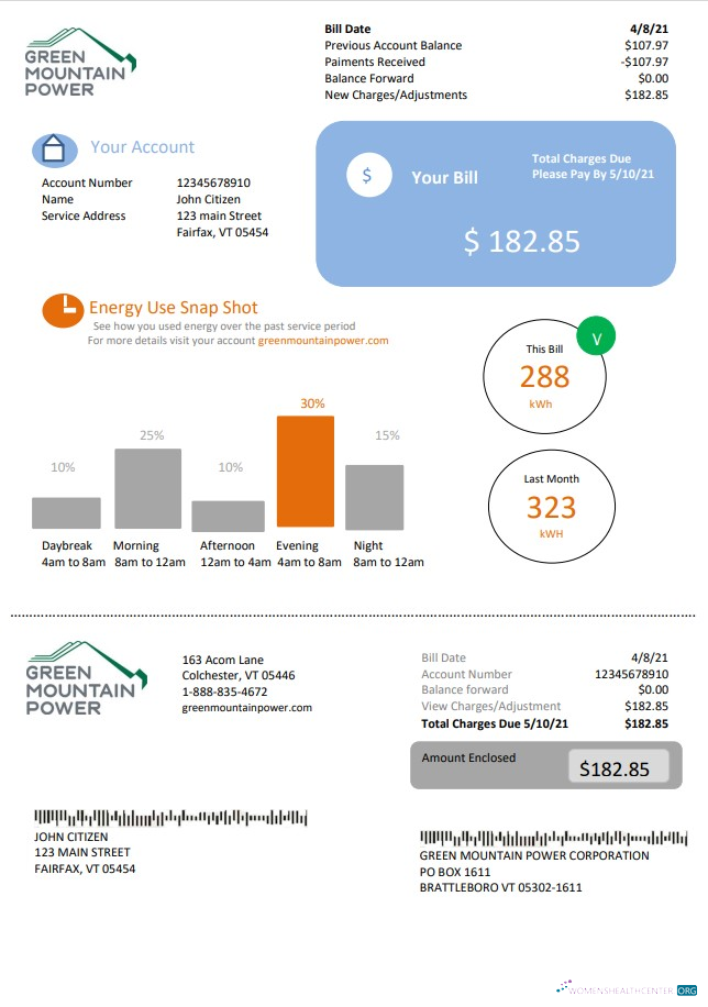 download USA Vermont Green Mountain Power electricity utility bill in Word and PDF format PDF template